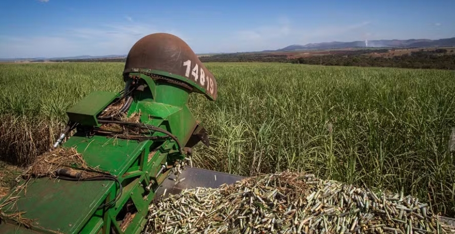 Chuvas em regiões produtoras de cana-de-açúcar dificultaram a colheita e, consequentemente, a moagem nas indústrias — Foto: Wenderson Araujo/CNA