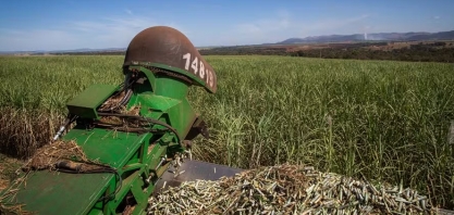 Preços do etanol e do açúcar seguem em queda no mercado brasileiro