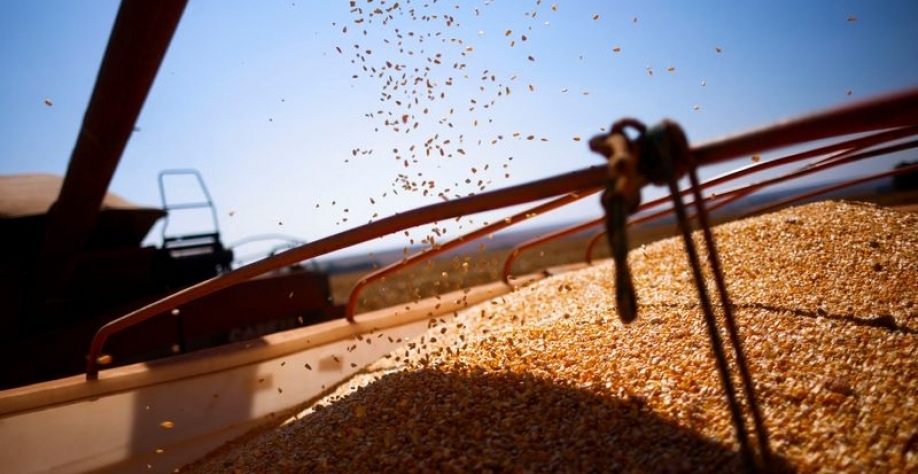 © Reuters. Grãos de milho são carregados em um caminhão após serem colhidos em uma fazenda perto de Brasília, Brasiln22/08/2023nREUTERS/Adriano Machado