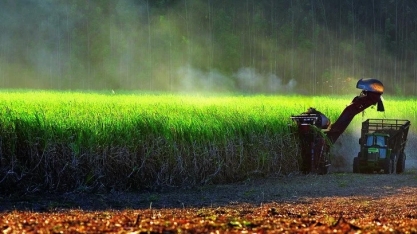 Aumento nas misturas de etanol e biodiesel consolida Brasil na vanguarda da transição energética global