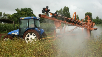Manejo fitossanitário: saiba como implementar na sua lavoura