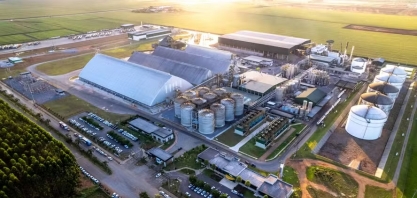 Produção de etanol de milho dispara e vai superar 25% do total, nos 50 anos do Proálcool