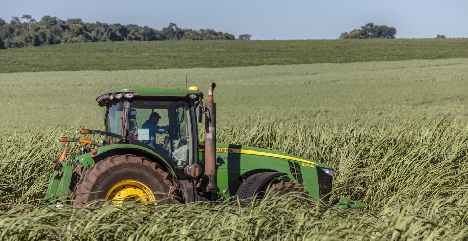  Plantação de cana-de-açúcar em usina da Copersucar Copersucar
