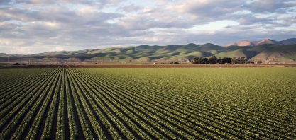 Safra 2024/25 deve atingir novo recorde e alcançar 336,1 milhões de toneladas de grãos