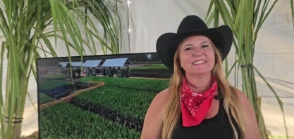 Em 10 anos, a Citrosol produziu mais de 70 milhões de mudas pré-brotadas de cana