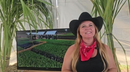 Em 10 anos, a Citrosol produziu mais de 70 milhões de mudas pré-brotadas de cana