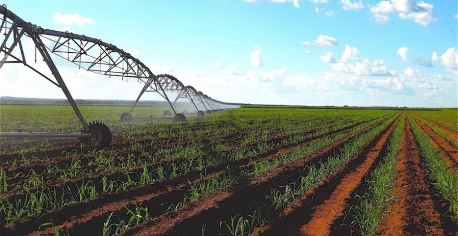 Irrigação se tornou indispensável para o sistema de produção de cana-de-açúcar na atualidade, pois mesmo naqueles períodos de melhor pluviosidade, as áreas irrigadas entregam maiores produtividades. Foto: Arquivo CanaOnline