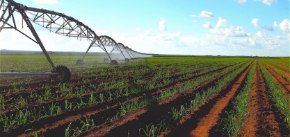 Irrigação é ferramenta indispensável para mitigação dos riscos climáticos