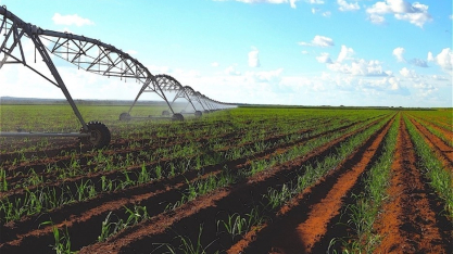 Irrigação é ferramenta indispensável para mitigação dos riscos climáticos