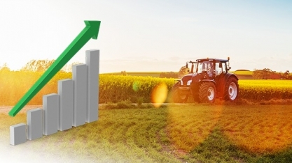 Puxado pelo agro, PIB paulista registra crescimento de 1,9% nos primeiros quatro meses de 2025