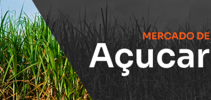 Archer Consulting baixa sua previsão de produção de cana e açúcar