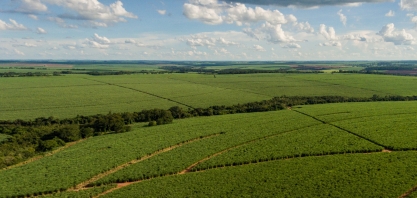 Tereos investe em sistema bico a bico para otimizar aplicação de insumos no canavial