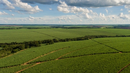 Tereos investe em sistema bico a bico para otimizar aplicação de insumos no canavial