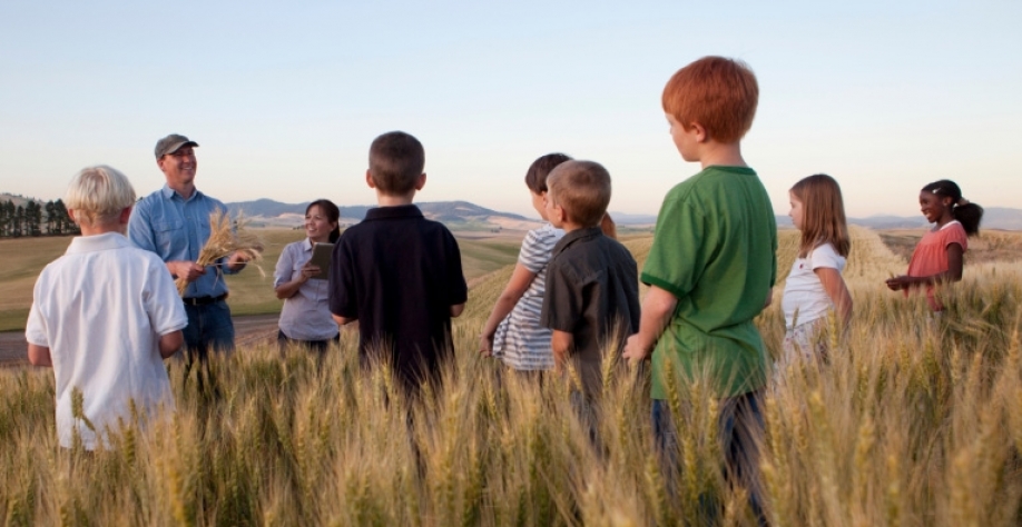 O setor produtivo, como o agronegócio, precisa estar envolvido nas etapas da melhoria da educação. Getty Images