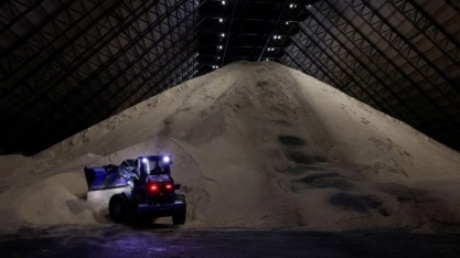 Vendas de açúcar da Copersucar tiveram alta de 21,4% em 2024/25 