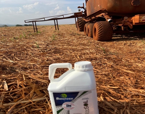 Rizosoil traz tecnologia que pode beneficiar o desenvolvimento da cultura. Foto: Divulgação Biocross do Brasil