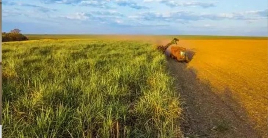 Foto: do site NovaBio 