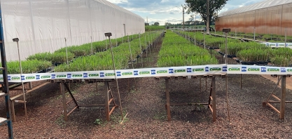 Credenciamento do Cana Show-IAC2025 agora só presencial nos dias e local do evento