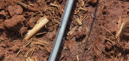 Irrigação pode entregar ganhos em todos os pontos da safra canavieira