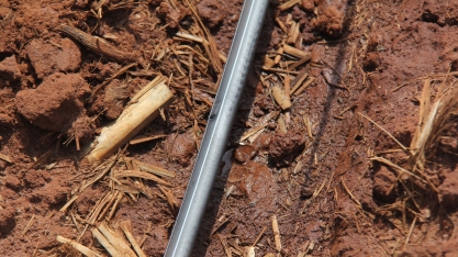 Irrigação pode entregar ganhos em todos os pontos da safra canavieira