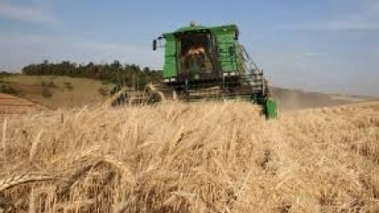 Etanol: CNA apresenta desafios e oportunidades para triticultura