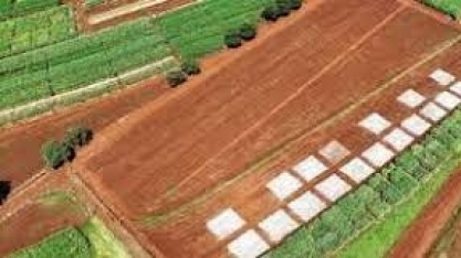 Produtora Poliana Okubo participa do primeiro Cana Show – IAC