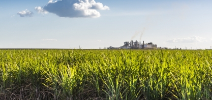 Atvos lidera debate sobre o futuro da bioenergia no 'Energy Summit 2025'