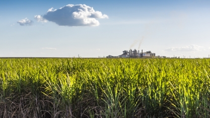 Atvos lidera debate sobre o futuro da bioenergia no 'Energy Summit 2025'