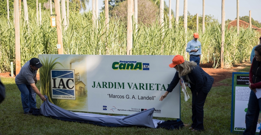 Adriana Landell, esposa de Marcos, descerra a placa com o nome do pesquisador