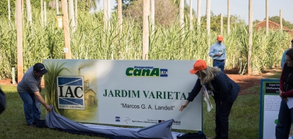 Jardim Varietal do Centro de Cana do IAC, em Ribeirão Preto, passa a se chamar Marcos G.A.Landell