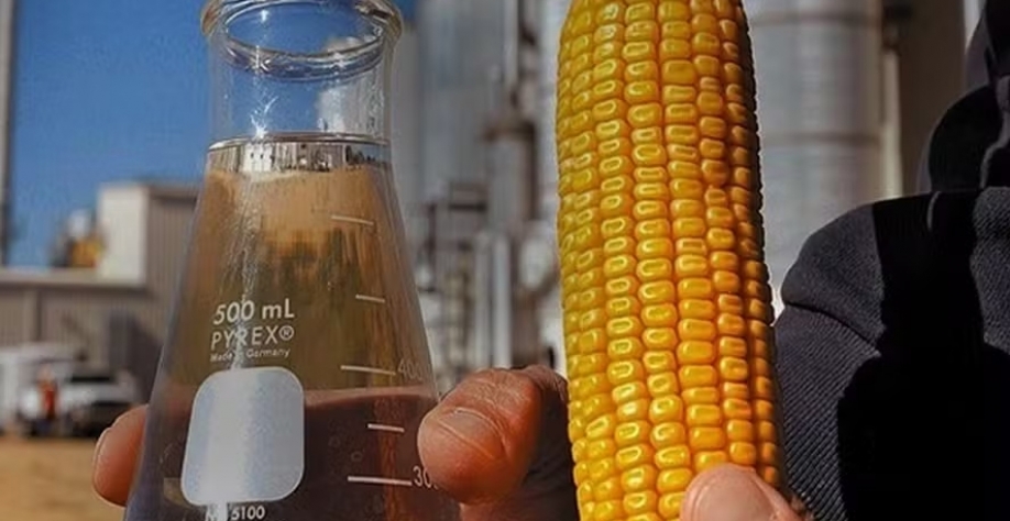 Etanol de milho — Foto: CNA/Divulgação