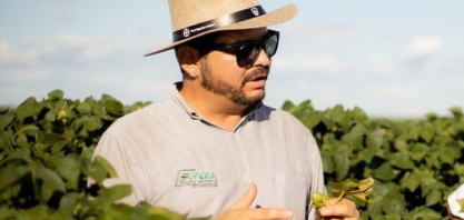 Lagartas se adaptaram aos sistemas e avançam em toda a fronteira agrícola, frente a resistência às biotecnologias