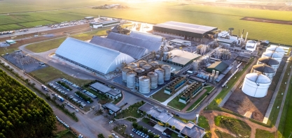 FS investe em biotecnologia para desenvolver novo ingrediente funcional para nutrição animal a partir do milho de 2° safra