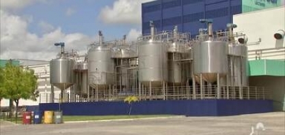 No dia da indústria, confira a importância da cana-de-açúcar para a economia de Pernambuco