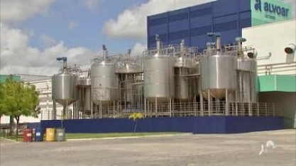 No dia da indústria, confira a importância da cana-de-açúcar para a economia de Pernambuco