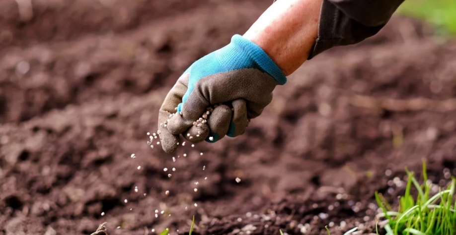 Em Mato Grosso, cerca de 85% dos fertilizantes já foram adquiridos - Foto: Adobe Stock