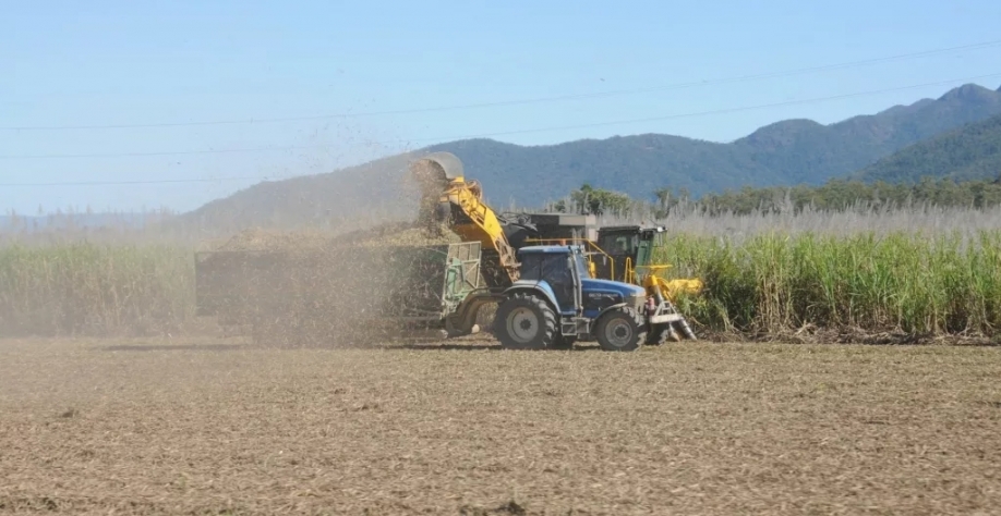 Tratores em operação em lavoura de cana-de-açúcar (Foto Kathryn Bowman/Pixabay)