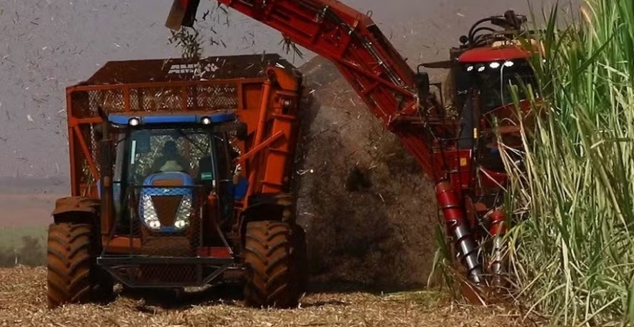  “Diversidade de matérias-primas de energia atenua efeitos do clima”, diz Luciano Rodrigues — Foto: SJC/Divulgação