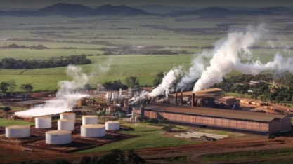 Jalles Machado (JALL3) tem prejuízo de R$ 8,5 mi no quarto trimestre da safra 2024/2025