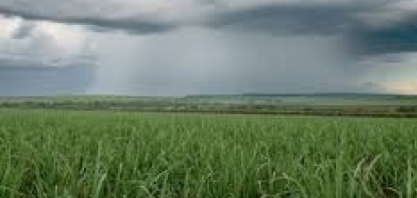 Geadas, frio e chuva marcam início de junho: confira as regiões