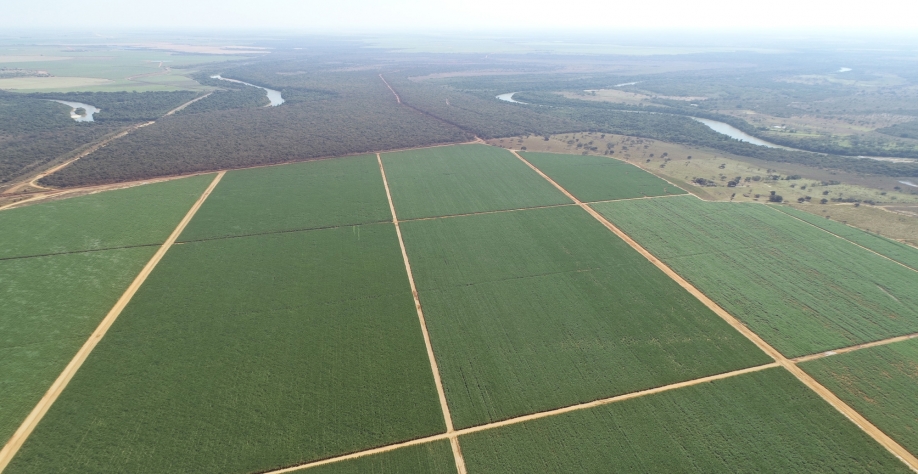 Foto: Divulgação Netafim