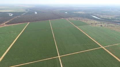 Irrigação ganha protagonismo na cana-de-açúcar em meio a desafios climáticos e quebra de safra no Centro-Sul