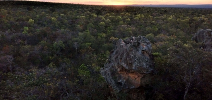 Reserva ambiental da Usina Coruripe no Norte de Minas ganha projeto inédito de carbono