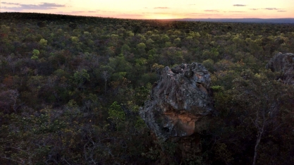 Reserva ambiental da Usina Coruripe no Norte de Minas ganha projeto inédito de carbono