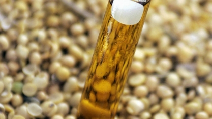Biocombustíveis absorverão mais da metade da produção de óleo de soja dos EUA, diz USDA