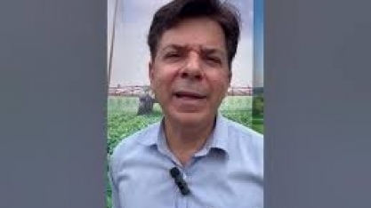 Grupo Pedra Agroindustrial vai ampliar a digitalização de processos em suas unidades