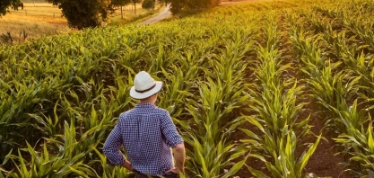 Tarifaço dos EUA pode elevar custo de produção e derrubar preços internos, afirma Sistema FAEP
