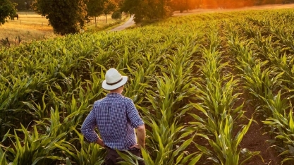 Tarifaço dos EUA pode elevar custo de produção e derrubar preços internos, afirma Sistema FAEP