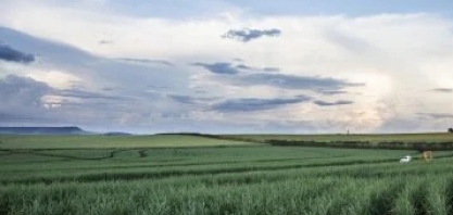 Conheça a “Declaração Conjunta Biocombustíveis Sustentáveis Como Solução para a Descarbonização”