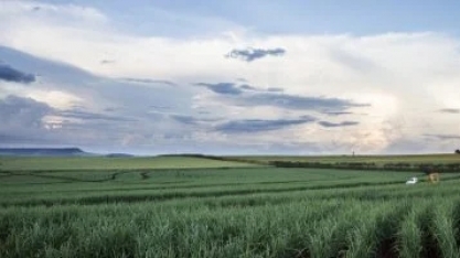 Conheça a “Declaração Conjunta Biocombustíveis Sustentáveis Como Solução para a Descarbonização”